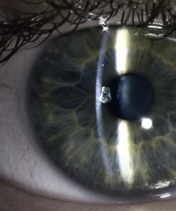 Alternative view of Lucida Book