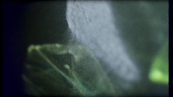 Lucida Book - Image 3