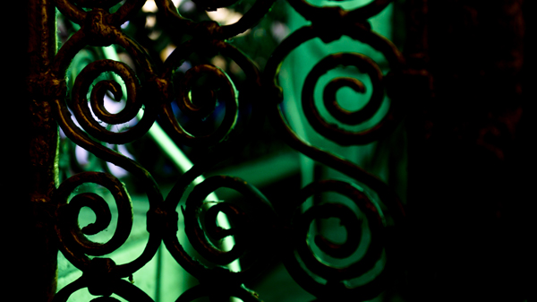 Still Point Book - Image 3