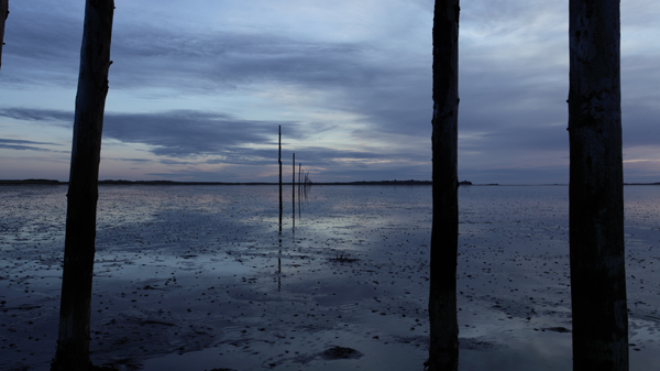 Still Point Book - Image 4